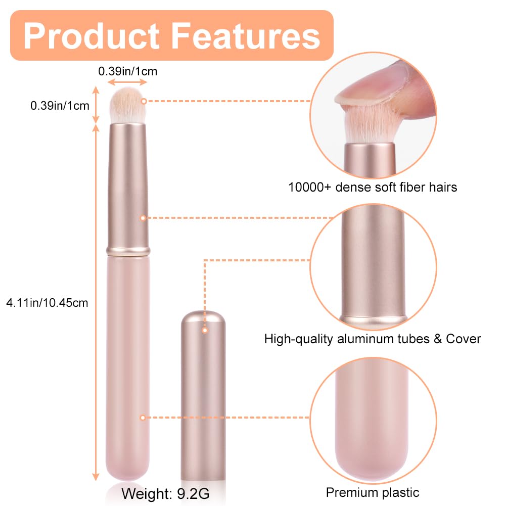 AOOWU Pinceau à Lèvres Portable, 3 PCS Pinceau à Lèvres Mini Portable, Brosses de Maquillage à Lèvres pour Fard à Lèvres, Fard à Paupières, Fond de Teint, Pinceaux de Maquillage