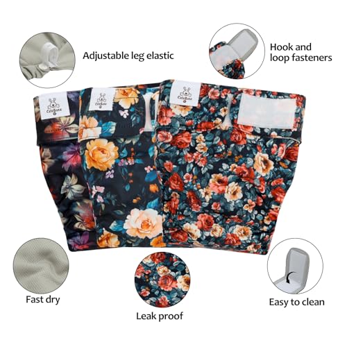 Image of CuteBone Washable Dog Diapers Female No Tail Hole 3 Pack Reusable Doggie Period Training Pants for Docked-Tail Frenchie French Bulldog Boston Terrier Without Tail WWD33L