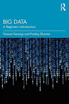 Big Data: A Beginner's Introduction book cover