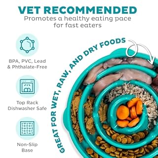 Outward Hound Fun Feeder Slo Bowl – Large 4‑Cup Capacity, Slow Feeding, Medium to Large Dogs, Non‑Slip, Turquoise, Drop Pattern