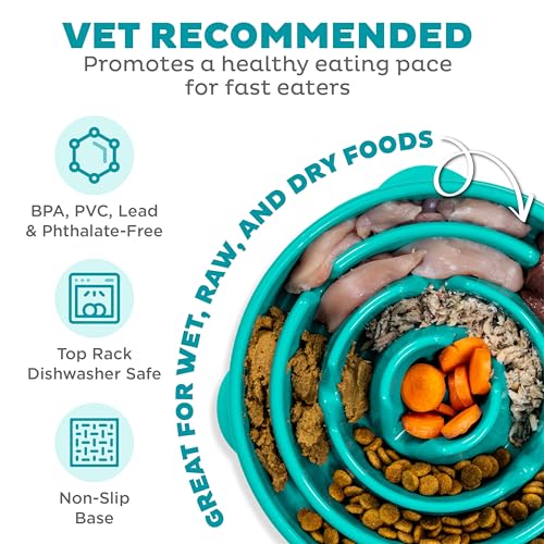 Outward Hound Large Slow Feeder Bowl, Puzzle Maze for Fast Eaters, Medium to Large Dogs, Helps Prevent Bloat & Aid Digestion, Holds 4 Cups Wet or Dry Food, Non-Slip, Made Without BPA, Turquoise - Image 4