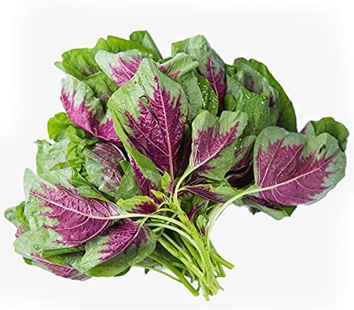 MOCCUROD Leaf Amaranth (Chinese Spinach) 400 Seeds Vegetable Seeds