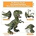 EPE TOP Hatching Egg Dinosaur Toy, Dinosaur Eggs That Hatch with Realistic Dinosaur Action Figure ,Sound and LED Lights Effect ,Novelty Educational Toy Easter Party Favors Gift for Kids Boys Girls