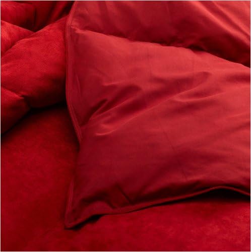 Blue Ridge Home Fashions Microsuede Feather Twin Comforter Set, Brick