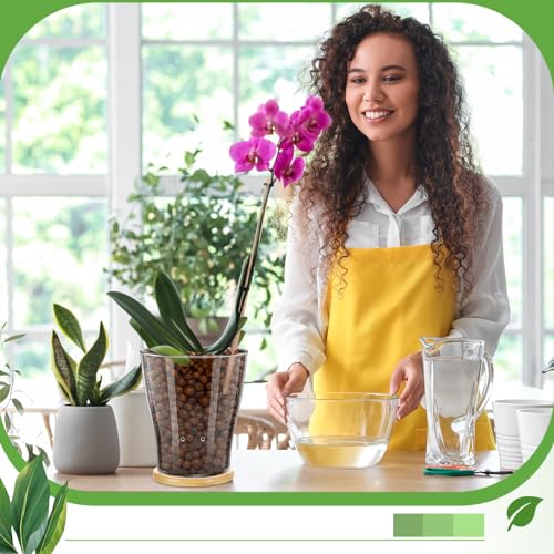 Baderke LE-BADERKE-883 Glass Orchid Pots With Holes And Bamboo Tray Glass Pot Water Level Control Semi Hydroponic Transparent Root Transparent Indoor Orchid Planter thumb #4