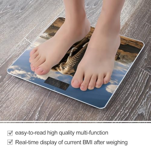 Báscula digital moderna para baño Ferocious Elephant miniatura 5
