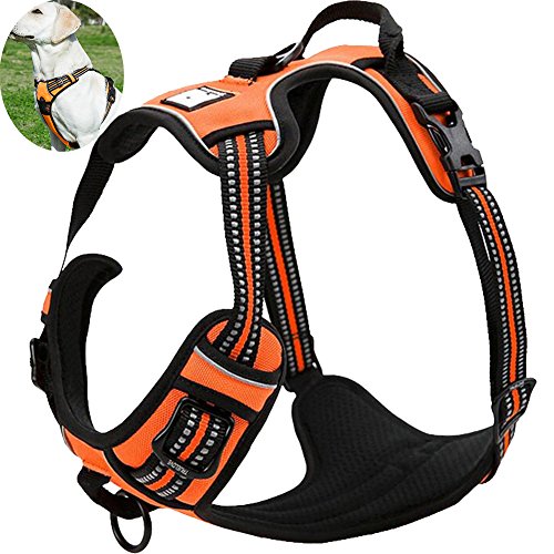 OLizee® New No Pull Dog Harness Outdoor Adventure Reflective Markings Pet Vest with Handle Adjustable Protective Nylon Walking Pet Harness Variety of Sizes and Colors,Orange M
