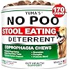 No Poo Chews for Dogs - 170 Ct - Coprophagia No Poop Eating Deterrent for Dogs - Stop Eating Poop for Canine - Probiotics & Digestive Enzymes Supplement - Made in USA