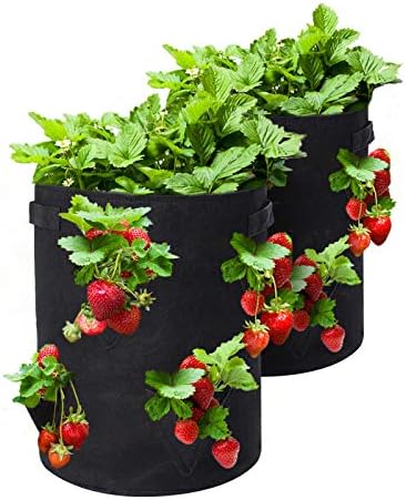 TENOVER Strawberry Grow Bags, 2 Pack 10 Gallon Strawberry Planter with 8 Side Grow Pockets, Breathable Non-Woven Fabric Reinforce Handle Plant Grow Bag for Garden Strawberries, Herbs, Flowers