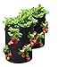 Produktbild Tvird Erdbeere Pflanzsack, Pflanzen Tasche Grow Tasche Pflanzbeutel mit Griffe 8 seitliche Wachstumstaschen, dauerhaft AtmungsaktivBeutel Pflanzsack für Erdbeeren,2 Pack 10 Gallon