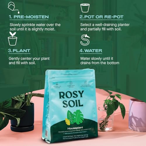 Rosy Soil Indoor Potting Soil for House Plants - Organic Potting Soil Mix for Indoor Plants - Enriched w/Root-Boosting Biochar for Foliage Plants, Flowers, Herbs - Peat Free, Less Prone to Gnats - 8qt - Image 6
