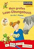 Duden Leseprofi ? Mein großes Lese-Übungsbuch für die 1. Klasse: Mit 100 spannenden Leserätseln (DUDEN Leseprofi 1. Klasse)