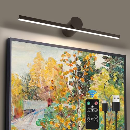 ZitoStory Luz de imagem operada por bateria com controle remoto, luzes de arte reguláveis sem fio pa