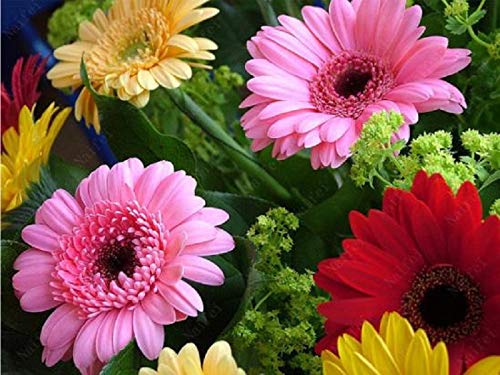 Yscolor Flower Diamond Painting 3D Gerbera Full Round Diamond Embroidery 5D Diy Cross Stitch Diamond Mosaic Needlework Wall Decoration 11.8X15.8 In/30X40cm