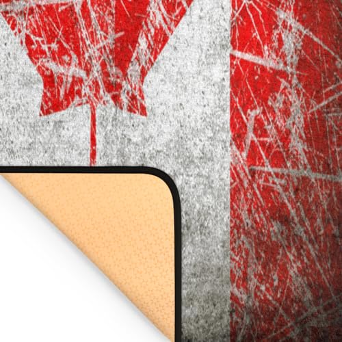 Tapis de salon antidérapant lavable en machine grand format 122x160 cm