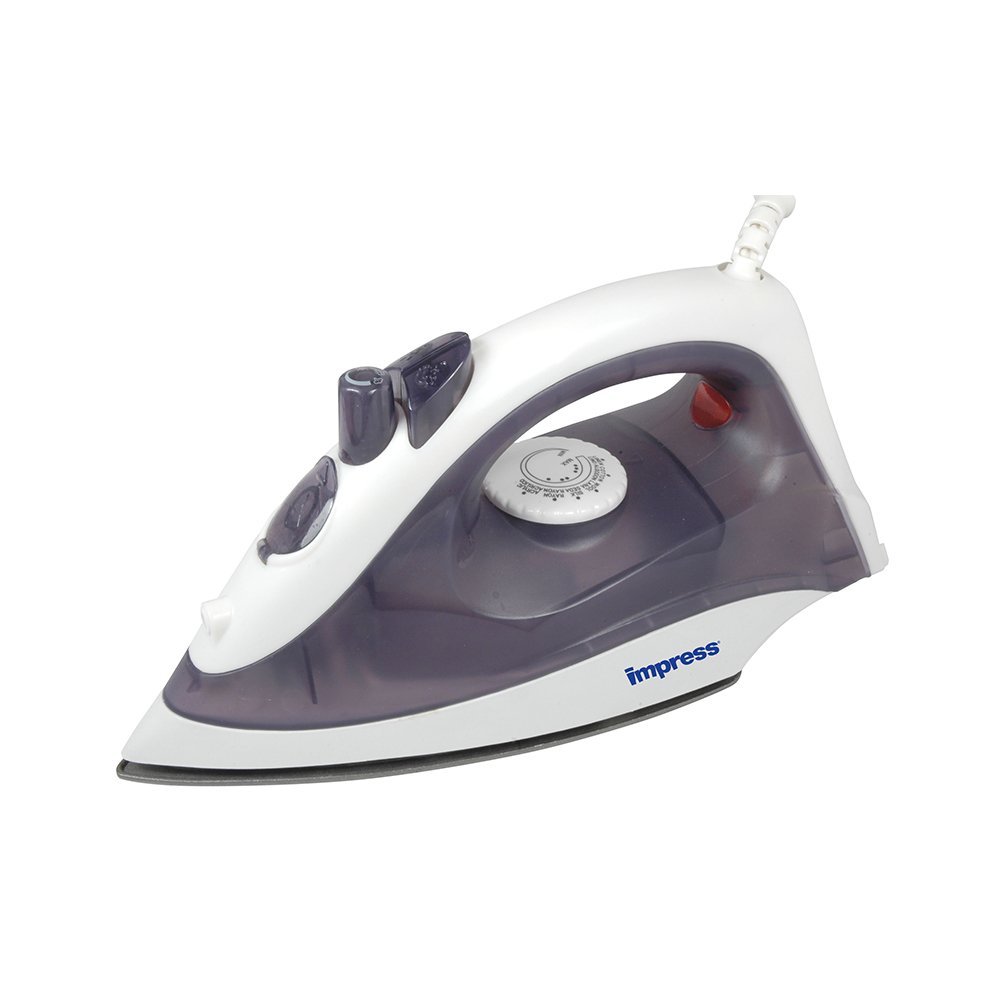 basic steam iron
