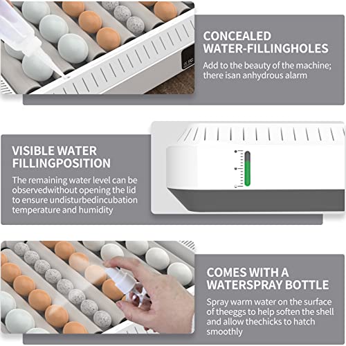 Eggs Incubator, 36 Egg Incubator with Automatic Egg Turning and Humidity Control, Chicken Egg Incubator with Temperature Display, Egg Incubators for Hatching Eggs