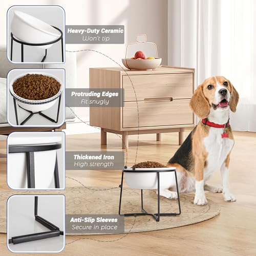 Hundenapf Erhöht Futternapf Hund Keramik - rutschfeste Fressnapf mit Metallständer - Ideal für Kleine und Mittelgroße Hunde - 800 ml - Mattweiß