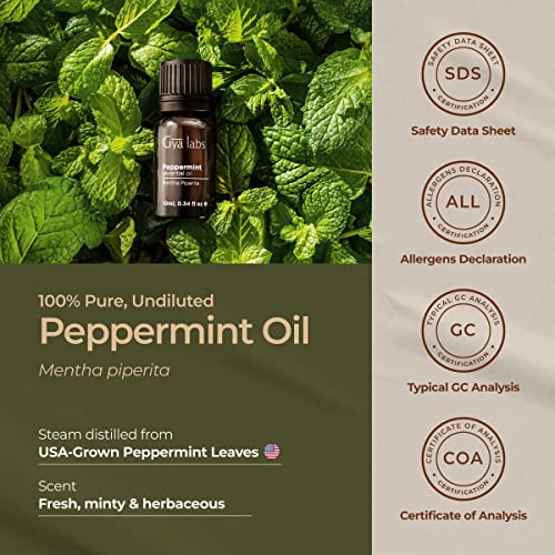 Gya Labs Pure Peppermint Oil For Hair Growth (10Ml) - 100% Therapeutic Mint Essential Oils - Premium Grade Natural Peppermint Essential Oil For Diffuser, Skin & Hair #TOP5