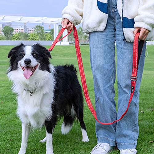 Double Layer Double-Sided Reflective Nylon Dog Leash Padded Handle 5 Ft Nylon Dogs Leashes For Walking Training Lead For Medium & Large Dogs(Light Blue) #TOP4