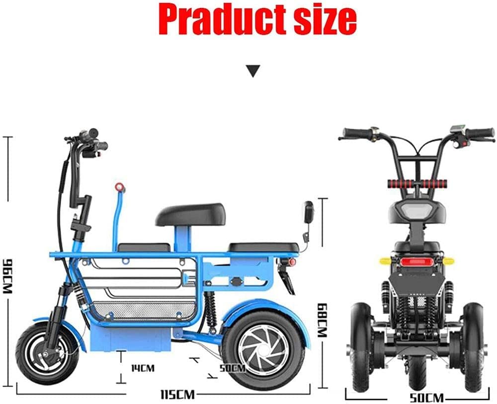 Tricycle électrique Adulte 3 Roues - Charge 200 Kg, Batterie 48V/12Ah, Autonomie 35 Km