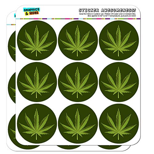 Marijuana Leaf Design Cannabis Pot 2