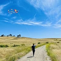 HONBO Kinder Drachen Große Delta Kites für Kinder und Erwachsene für Beach Trip Outdoor Games,Perfekt für Anfänger,String Line Inklusive Spielzeuge einfach zu fliegen Kites mit farbigen Farben Tail – Ansicht 4