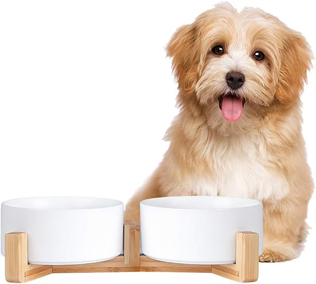 Ceramic Dog Bowl Set- Cat Dog Bowls with Non Slip Wood Stand - No Spill Double Pet Dish for Food Water Feeding (3.6 Cup-Suitable for medium sized dog)