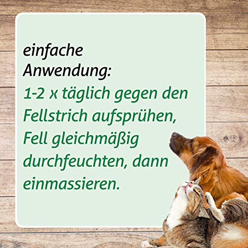 cdVet FlohEx Repellent Spray 100 ml - Effektiver Sofortschutz gegen Flöhe und Insekten