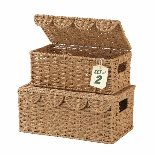 Set of 2 Scalloped Wicker Basket with Lid, Paper Rope Baskets for Shelves