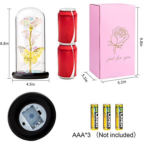 ORORANY Forever Plastic Rose Gift For Her, Galaxy Glass Rose Flower And Butterfly With Led Light Great Gift Ideas For Valentine's Day, Mother's Day, Birthday, Anniversary, Engagement 8 51FAcyrR3yL