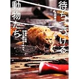 待ちつづける動物たち 福島第一原発20キロ圏内のそれから/太田康介【著 ブランド登録なし