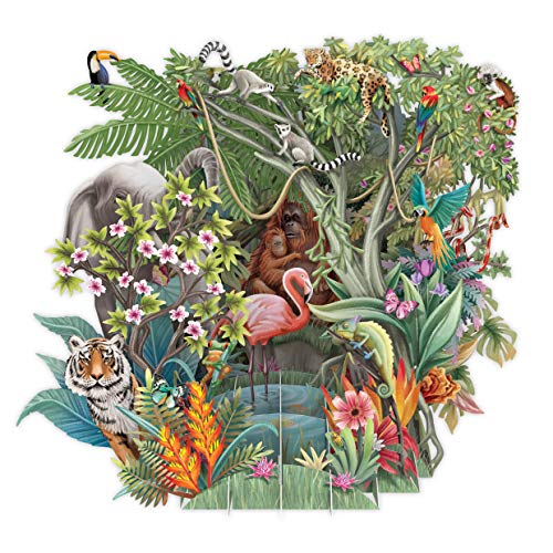 The Jungle Top Of The World Pop Up 3D Greetings Card #TOP18