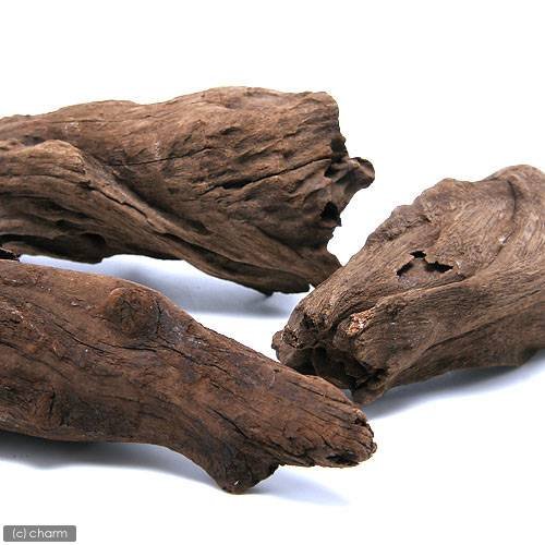 Amazon | 形状お任せ 爬虫類・昆虫・オカヤドカリディスプレイ用流木
