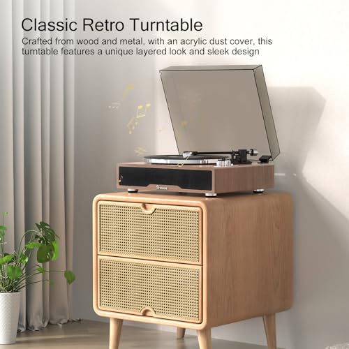 Vinyl Record Player Bluetooth Input/Output, Wohome All-in-One Hi-Fi Vintage Turntable with 4 Built in Speakers, AT-3600L Magnetic Cartridge, RCA Line Out, AUX in Headphone Jack, Auto Off - Les Beatles, Paul McCartney, John Lennon, RIngo Starr, George Harrison Vinyl Record Player Bluetooth Input/Output, Wohome All-in-One Hi-Fi Vintage Turntable with 4 Built in Speakers, AT-3600L Magnetic Cartridge, RCA Line Out, AUX in Headphone Jack, Auto Off – Image 7
