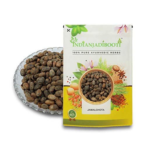 IndianJadiBooti Jamalghota Beej - Jamalghota Seeds - Croton Seeds - Croton Tiglium, 900 Grams (B07DFJ1GW7) Amazon Price History, Amazon Price Tracker