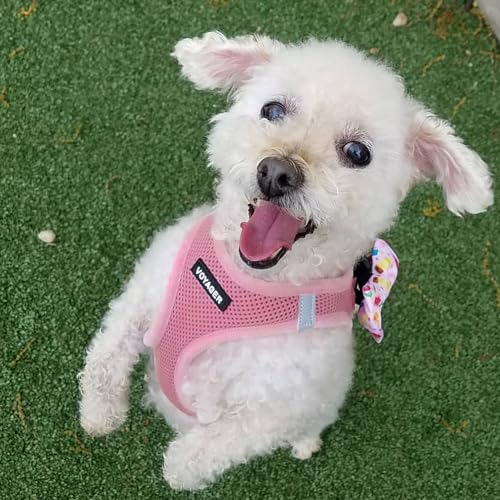 Voyager Step-In Air Mesh Harness & Leash Set (Pink, XS) — view 7