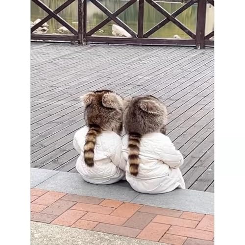 Raccoon Hat Cute Tail Faux Fur, Furry Hat Plush for Men Women's Thick Warm Winter Cosplay Gift2