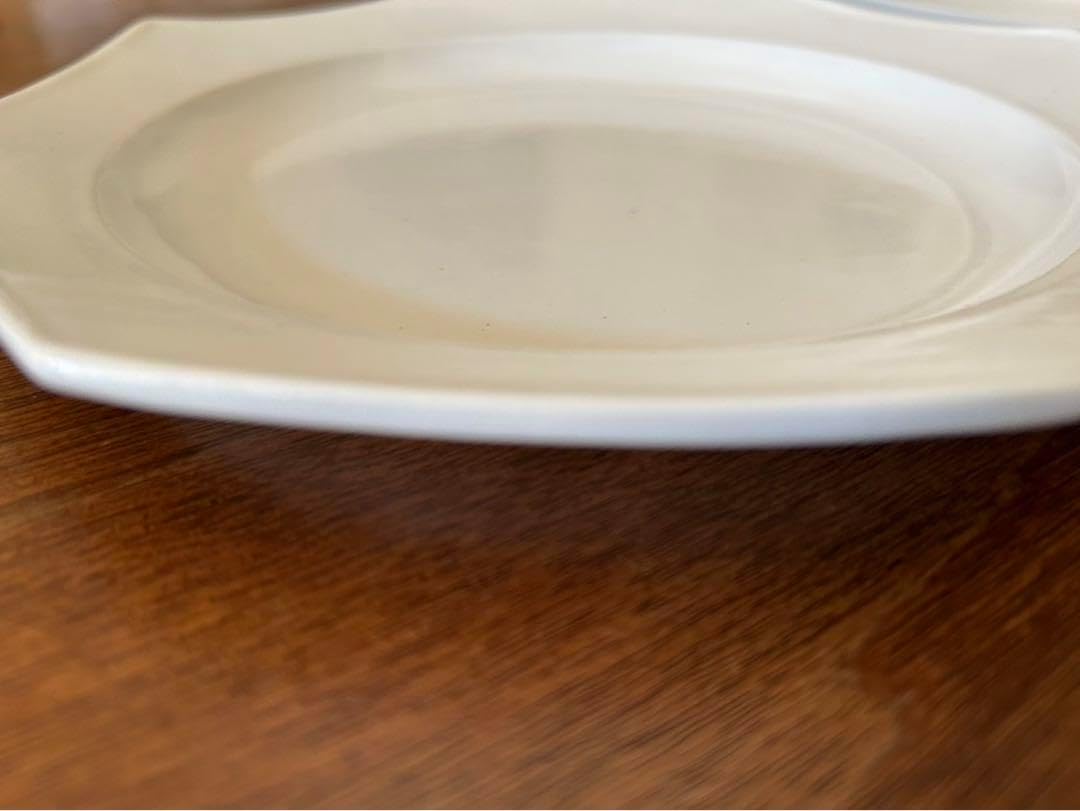 岡田直人 オクトゴナルプレート 2枚 岡田直人 オクトゴナル プレート 岡田直人 オクトゴナルプレート 2枚 岡田直人 オクトゴナル プレート