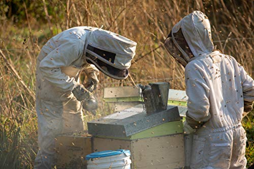 Center Of Eden Raw Manuka Honey Umf 15+, Mgo 515+, 100% Natural, Unpasteurized, Glass Jar, 8.8 Oz (250G), Certified, New Zealand #TOP5