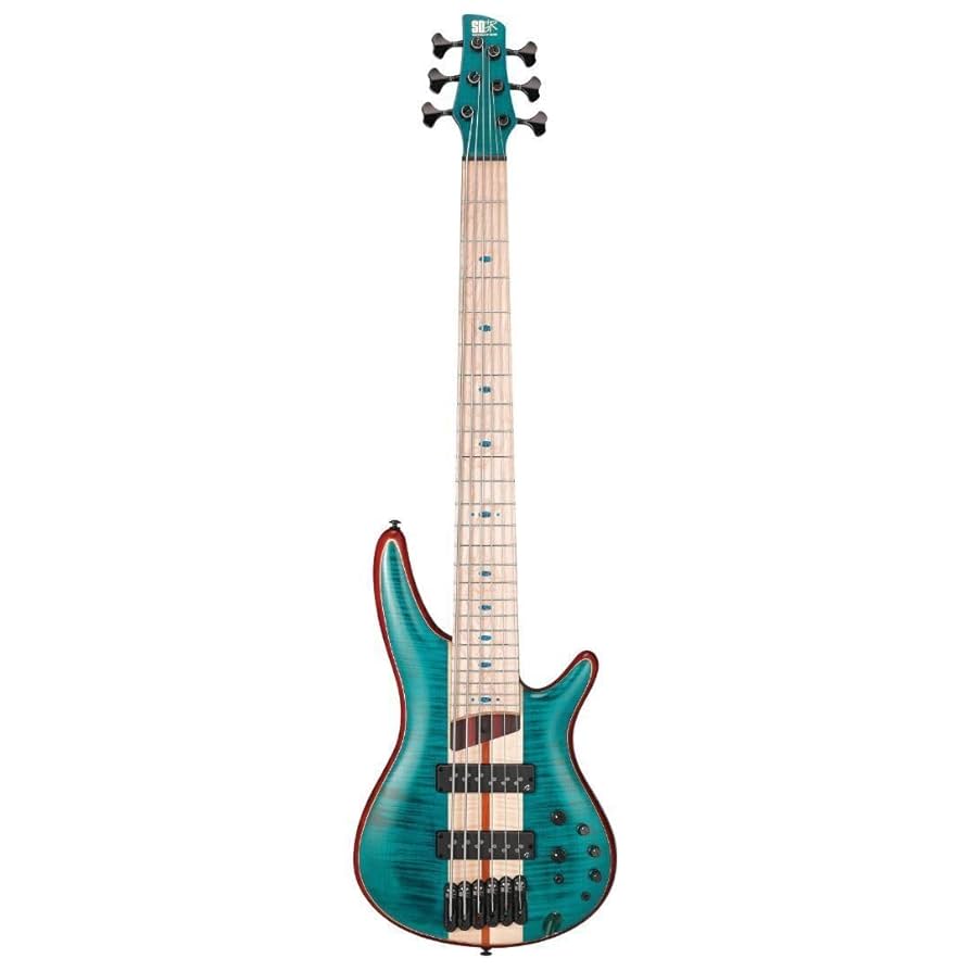 Amazon.com: Ibanez SR Premium 6-string Electric Bass