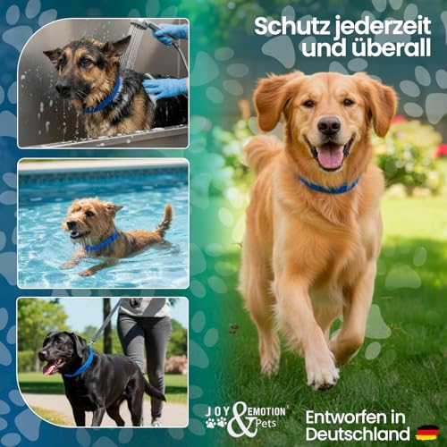 JOY & EMOTION® Super Zeckenhalsband für Hunde, Flohhalsband 5 Stück + 1 Mückenarmband | Natürlich, Verstellbar & Wasserfest | Für Kleine, Mittlere & Große Hunde | 30 Monate Schutz gegen Zecken & Flöhe