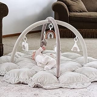 5-in-1 Thick & Plush Play Gym, Convertible Stage-Based Developmental Activity Gym & Play Mat from Baby to Toddler, Ball Pit, Pet Cushion, Balls are not Included