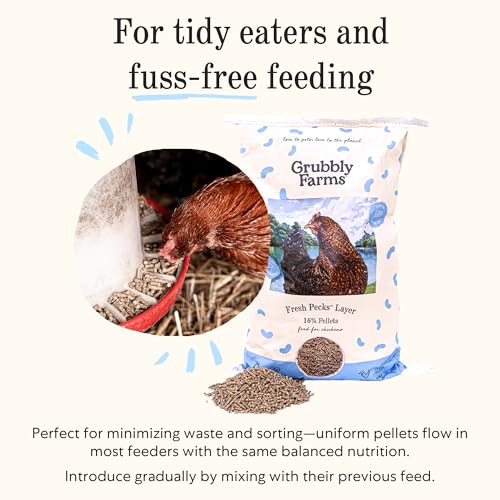 Image of Grubbly Farms Adult Chicken Bundle - Chicken Grit, Fresh Pecks Layer Feed Pellets, Omega Mix & Grubblies - Complete Nutrition, Proper Digestion, Strong Eggshells & Natural Protein Treats