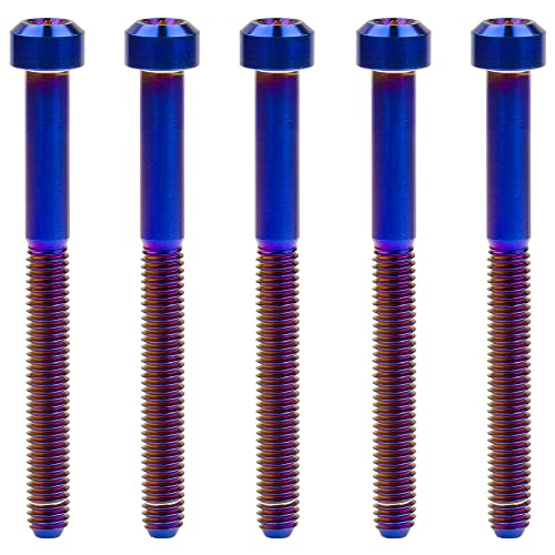 Image of Titanium Torx Square Head M6 x 10 15 20 25 30 35 40 45 50 60 65 70 80mm Screw Pack of 5 (Burn Blue, M6x65mm)
