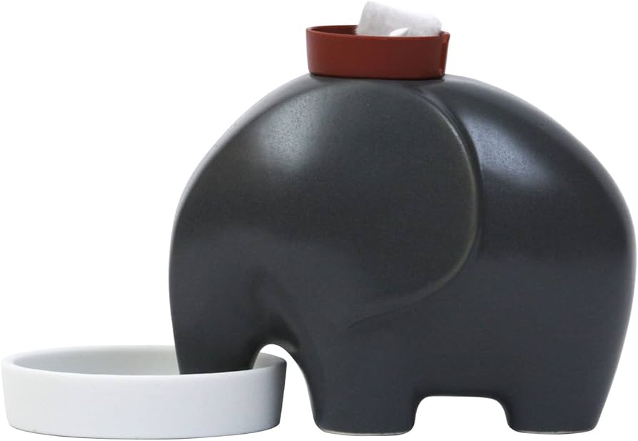 Amazon｜聖新陶芸 通年 家庭菜園 簡単 栽培キット ゆったり