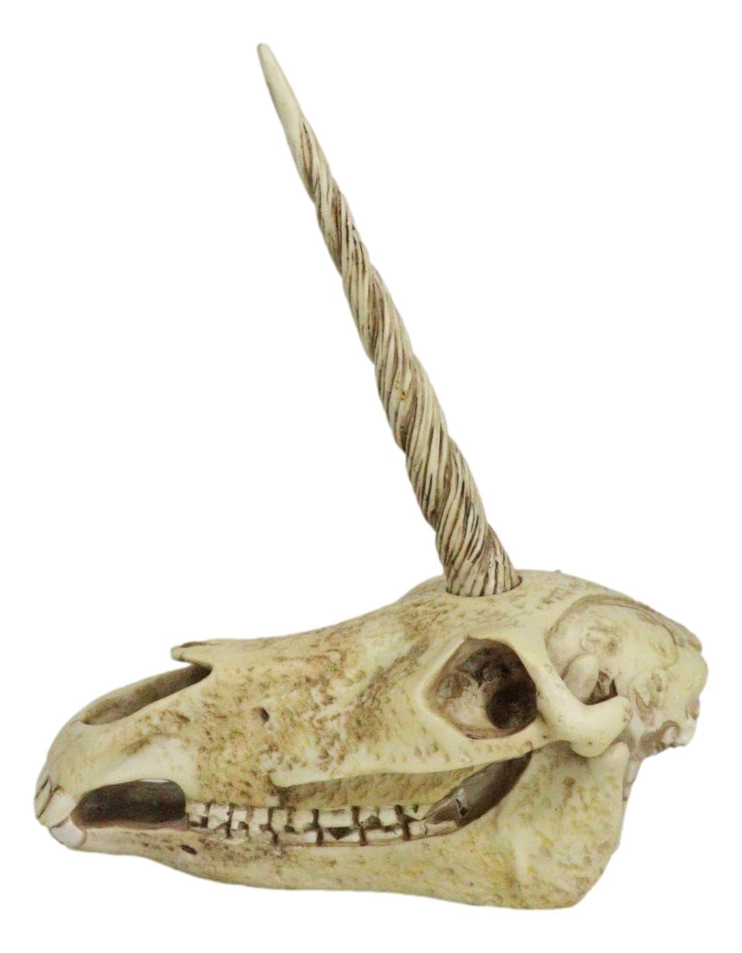 Ebros - Estatua de calavera de unicornio fósil antiguo, modelo de esqueleto de criatura mítica, gran regalo para arqueólogos, aventureros de excavación y coleccionistas