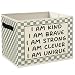 SONMYSULIL Kids Inspirational Storage Bins Box with Handles, Motivational Checkered Foldable Collapsible Basket Organizer for Toys Books Clothes Kids Boy Nursery Room Bedroom Bathroom Playroom