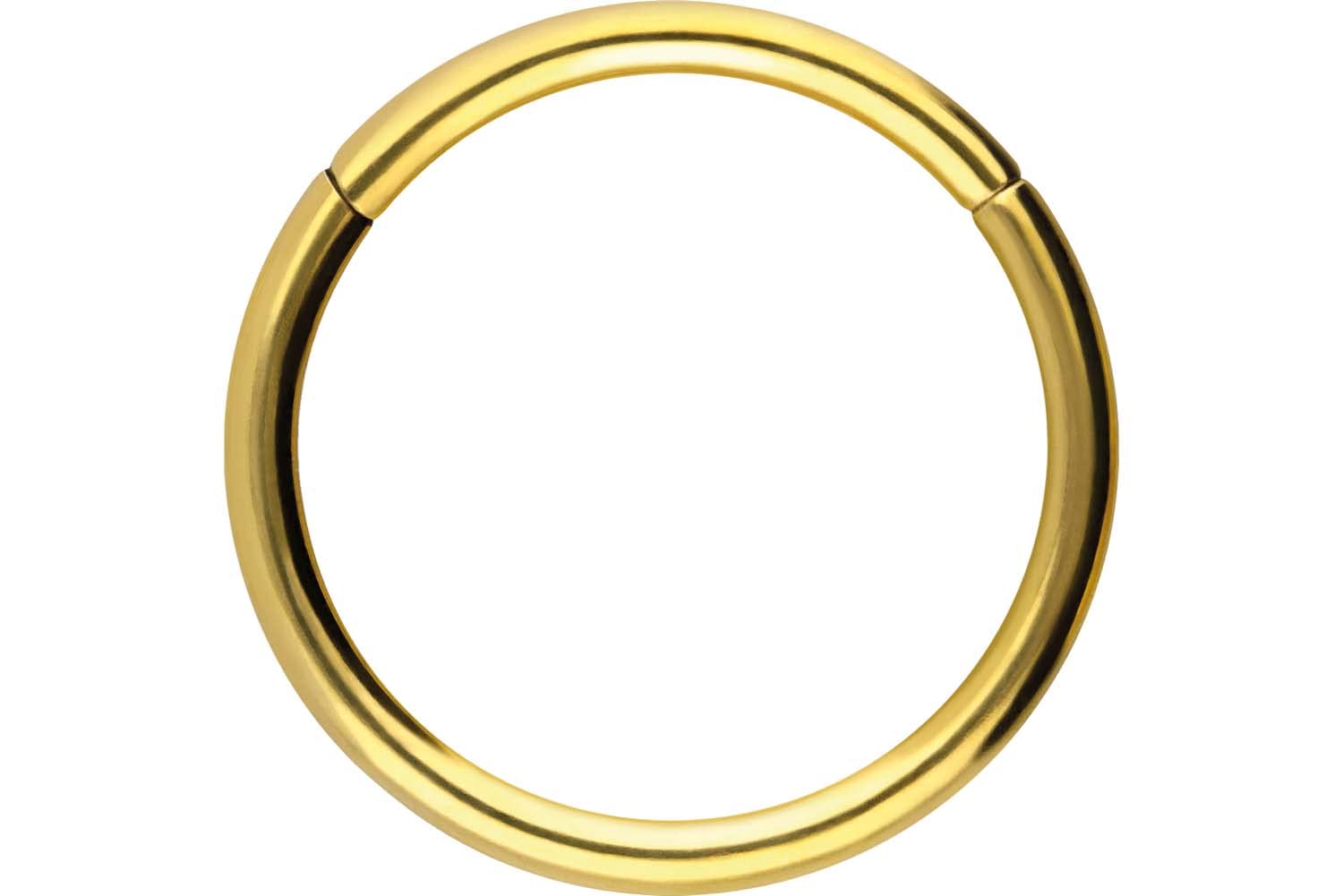 PIERCINGLINE Anillo segmento Clicker de acero quirúrgico – Piercing en oro, plata, rosa, negro o azul – para nariz, tabique, oreja, hélice o tragus — view 9