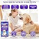 JOVIAL 2 Stück Bitterspray Hund, 240ml Anti Kau Spray, Erziehungshilfen für Hunde um das Kauen und Lecken von Möbeln, Schuhen, Bandagen zu Stoppen, Sicher für Innen- und Außenanwendung
